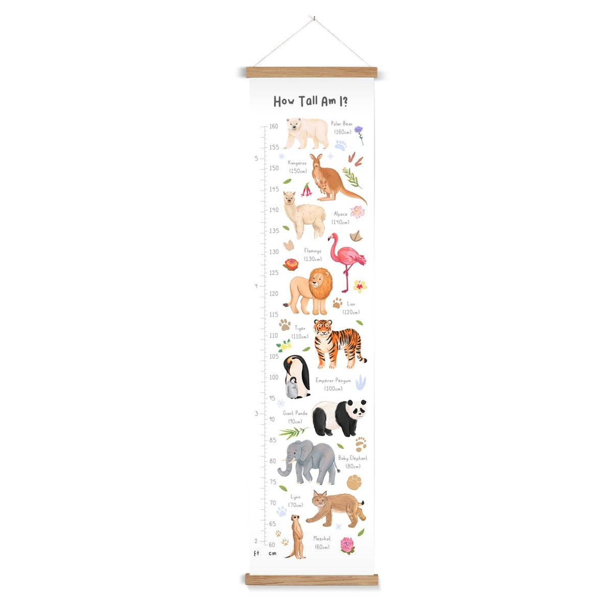 Animals of the World Wall Height Chart