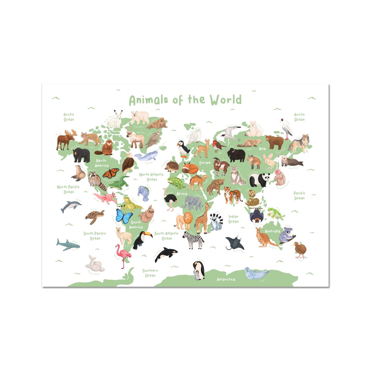 Animals of the World Map (Green)