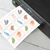 Animal Snap Memory Card Game