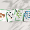 Animal 1-10 Flashcards