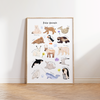 Polar Animals Wall Art