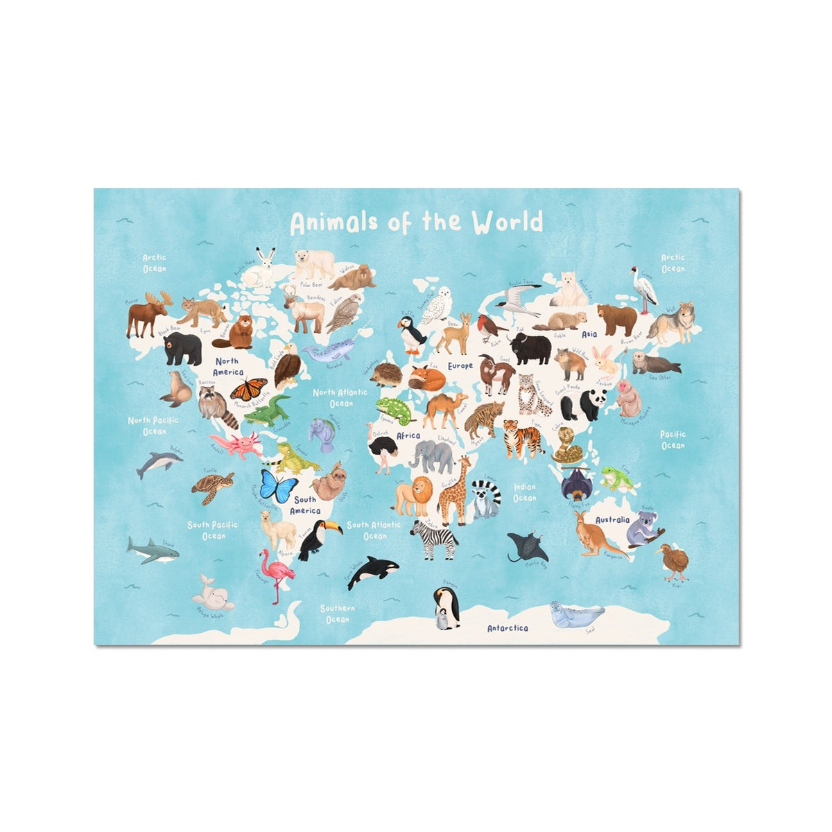 Animals of the World Map (Ocean)