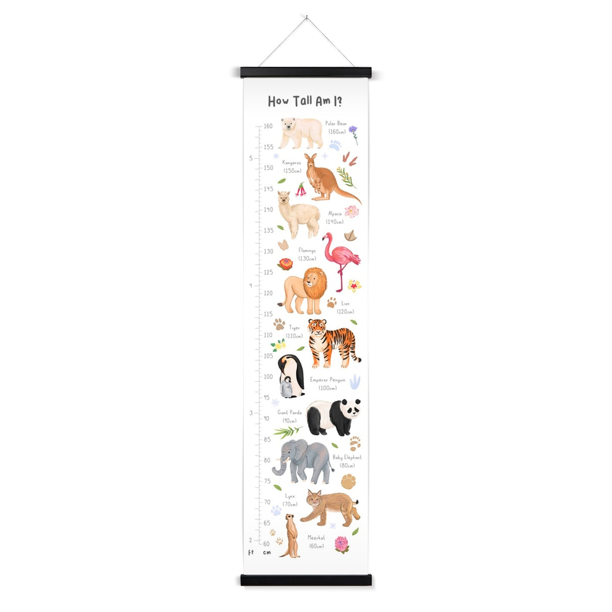 Animals of the World Wall Height Chart